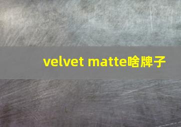 velvet matte啥牌子